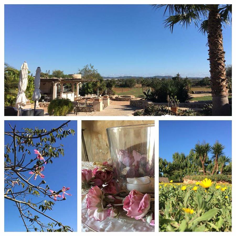 Hacienda D'Armando Bed & Breakfast Felanitx Eksteriør bilde